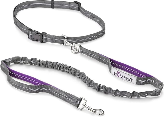 Handsfree Hondenriem - Loopriem Hond Jogging Riem - Hond Uitlaten - Dubbele Handgreep - 1.2 Meter - Paars