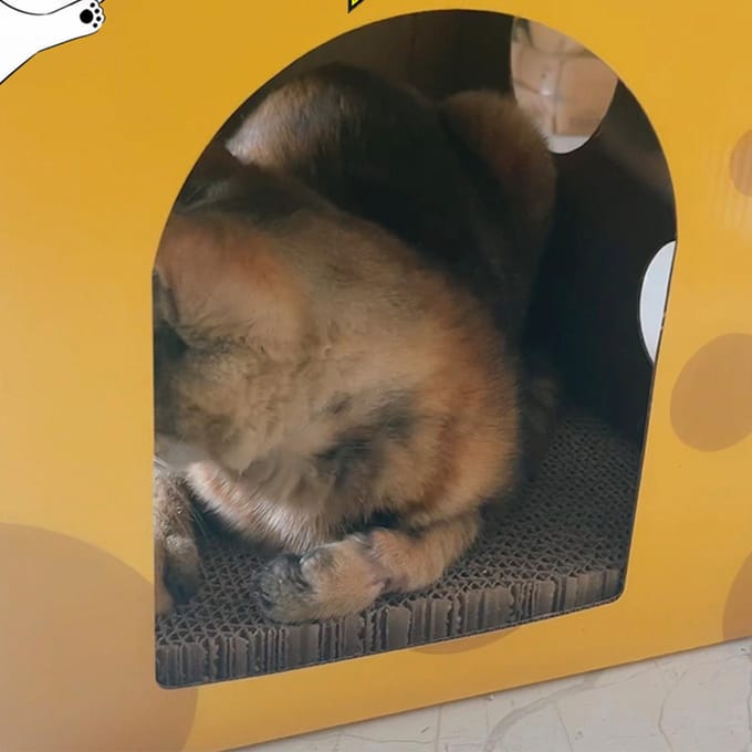 Kaasvormige Kattenkrabhuis Kartonnen Kattenkrabhuis Interessant Kat Verstopplek voor yellow