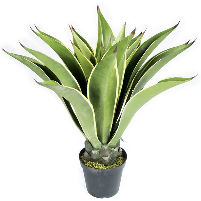 Intergard Kunstplant Agave 98cm