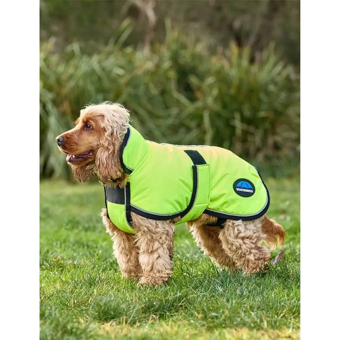 Hondenjas Weatherbeeta Comfitec Reflective Deluxe 300D