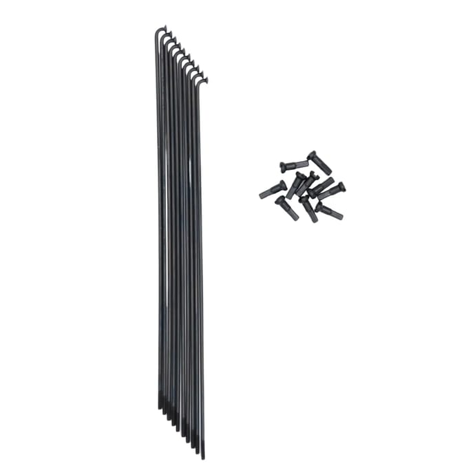Rayon Pride Racing Hexagon Stainless (x10)