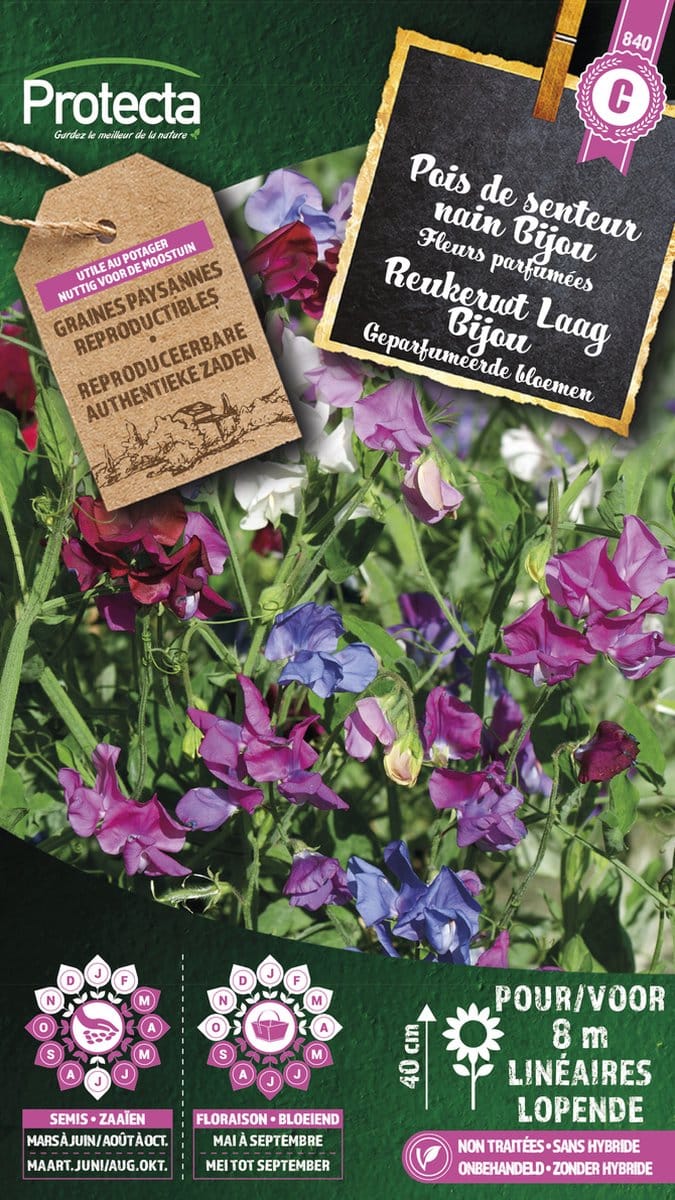 Protecta Bloemen zaden: Reukerwt Laag Bijou | Lathyrus odoratus