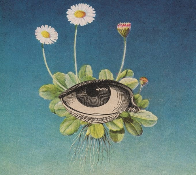 øjeRum - The Limited Circle Is Pure (CD) (Limited Edition)