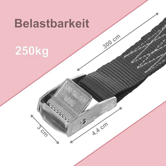 Spanbanden met klemsluiting - Set van 6, 3m x 25mm, Belastbaar tot 250 kg