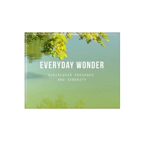 Everyday Wonder - The School of Life
