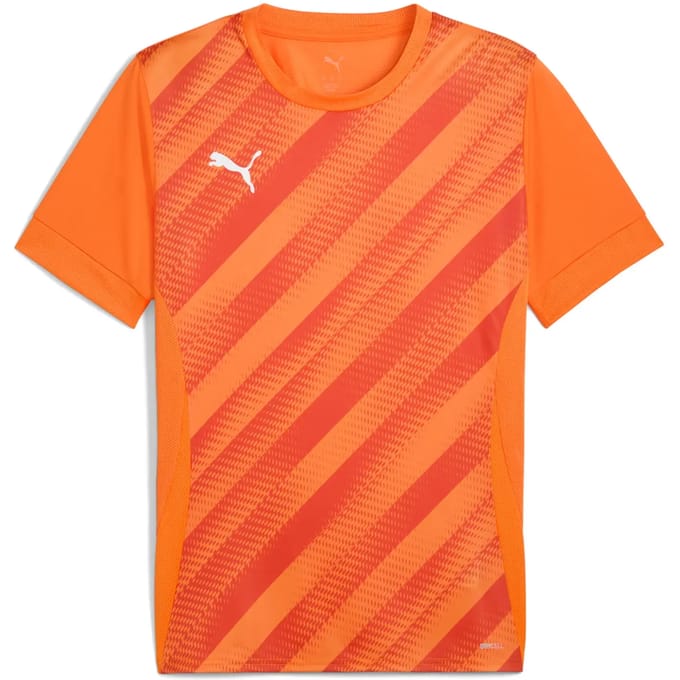 Jersey Puma teamGoal Graphic