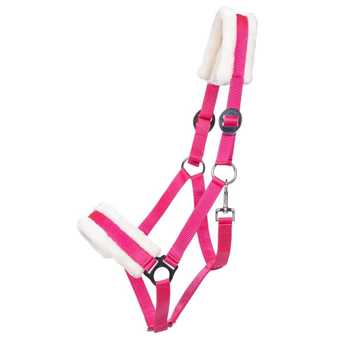 Halster voor paarden Q-essentials Cali