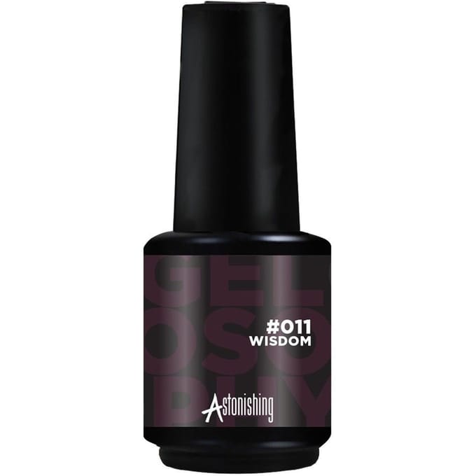 Astonishing Gelosophy 011 wisdom 15ml