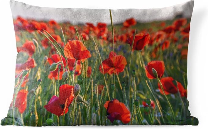 Buitenkussens - Tuin - Klaprozen in het veld - 50x30 cm