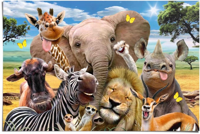 Poster Wildlife Funnies - 61 x 91,5 - Papier - REINDERS