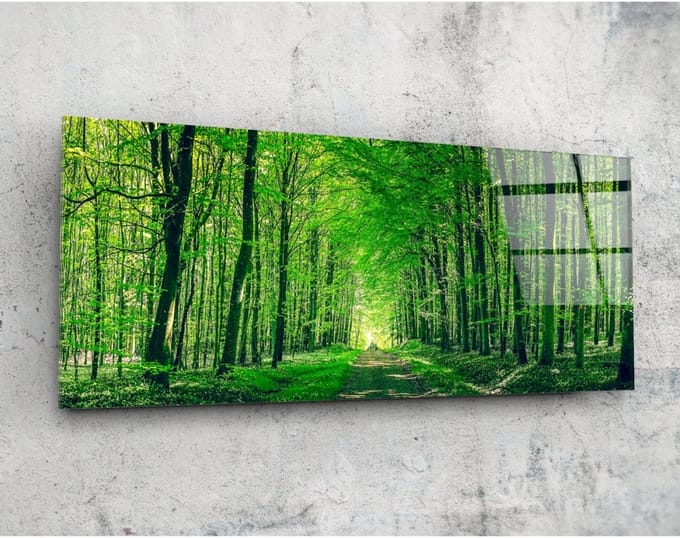 Panorama Glasschilderij - Het Bos - Groene Wall Art - Natuur - 92 x 36 cm