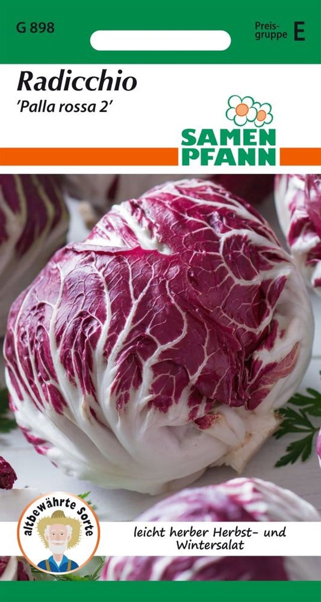 Radicchio, Palla Rossa - Groentezaden, slazaden
