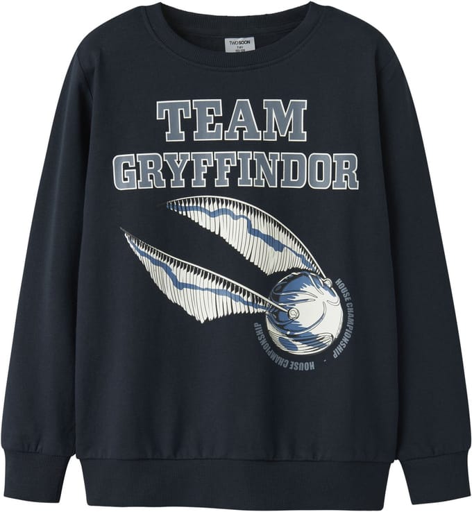 NAME IT - TKMTHAT HARRYPOTTER SWEAT BRU NOOS WAB - Jongens - Sweaters