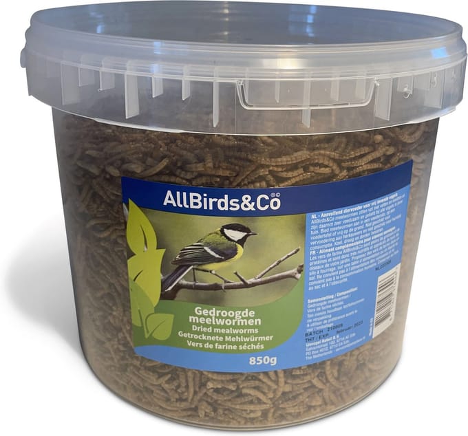 Allbirds&Co Gedroogde Meelwormen In Emmer - Tuinvogelvoer - 850 g