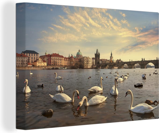 Canvas Schilderij Praag - Zwaan - Water - 120x80 cm - Wanddecoratie