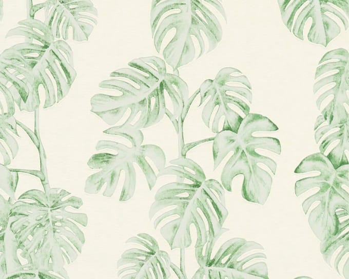 MONSTERA BLAD BEHANG | Botanisch - groen wit - A.S. Création Greenery