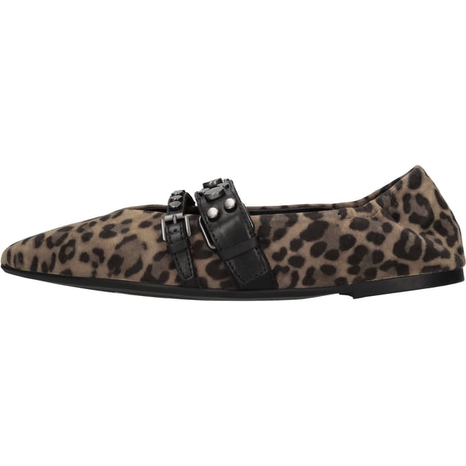 Ash Lage schoenen Dieren