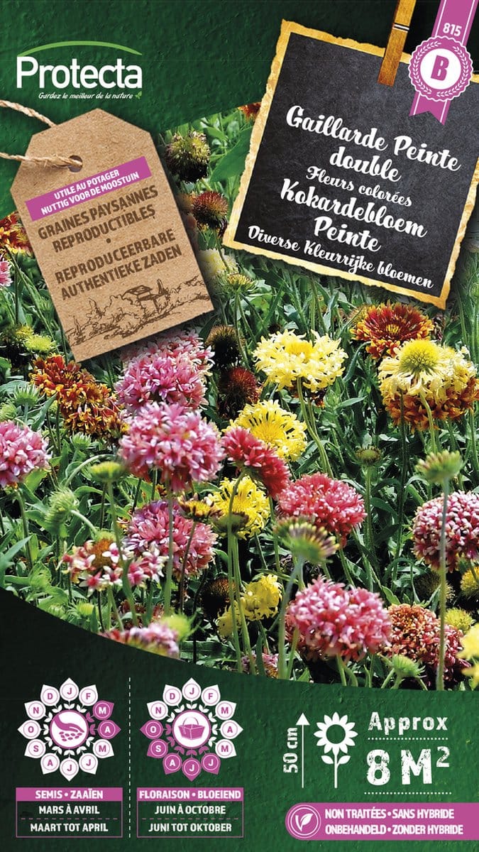 Protecta Bloemen zaden: Kokardebloem Peinte | Kobold