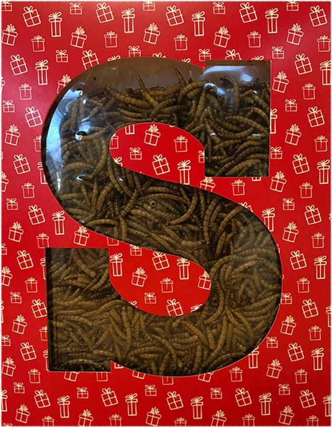 Sint Letterdoosje Meelwormen voor Kippen Het Sinterklaaskado