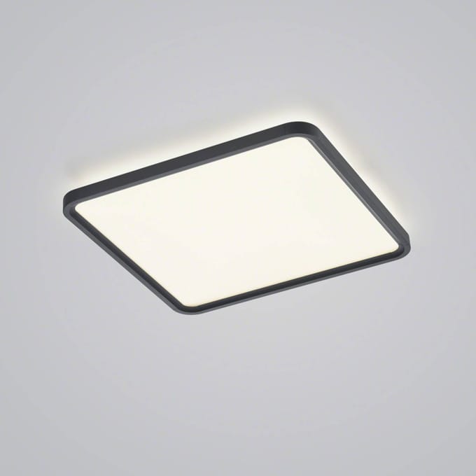 Helestra Vesp LED paneel backlight 61x61cm zwart