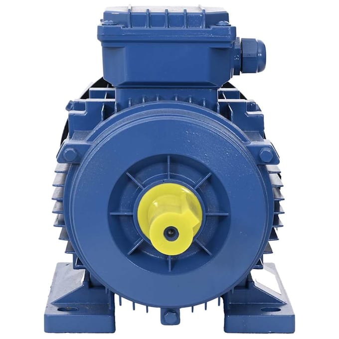 Moteur Électrique Triphasé en Aluminium 1,5 kW   2 CV 2 Pôles 2840 tr/min
