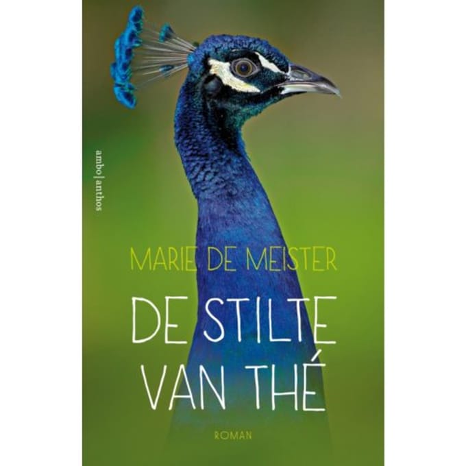De Stilte Van Thé - Marie de Meister
