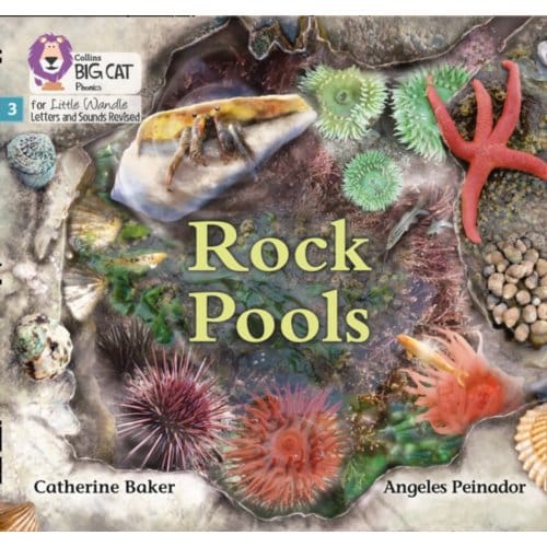 Rock Pools - Big Cat Phonics For Little Wandle Letters And Sounds Revised - Catherine Baker