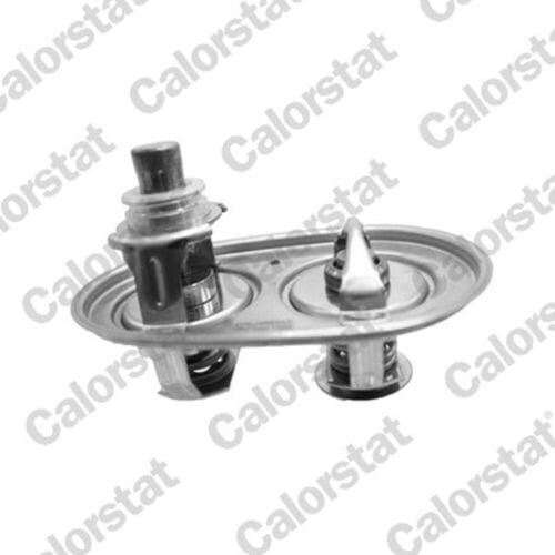 Thermostaat, koelvloeistof CALORSTAT BY VERNET TH7540.89.96J