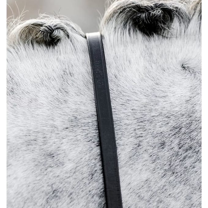 Teugels voor paarden Horseware