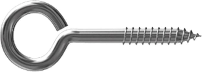 Schroefoog RVS 6.0 x 50 mm (2 stuks)