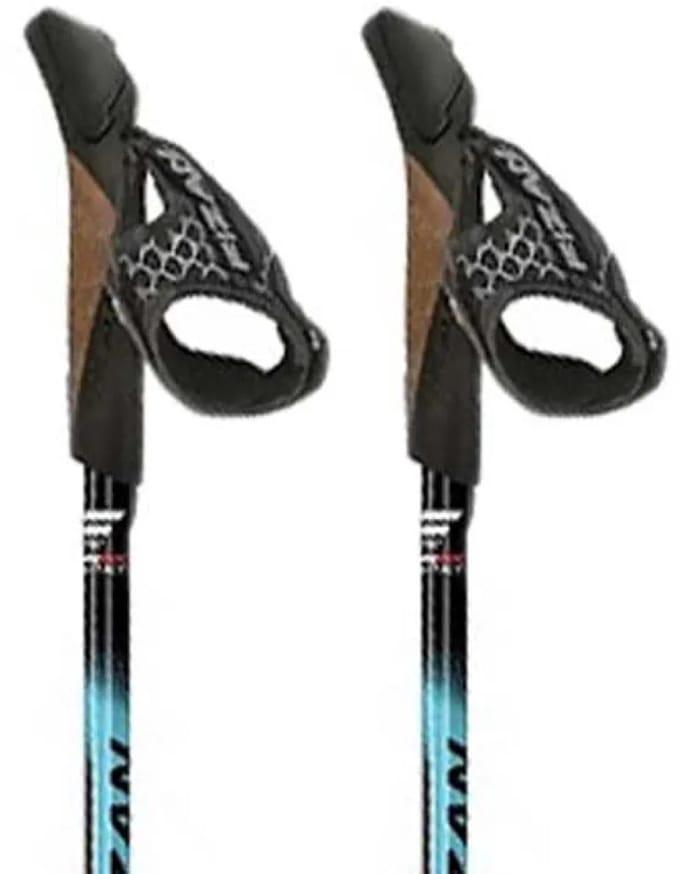 Fizan Speed Stokken Grijs 75-125 cm