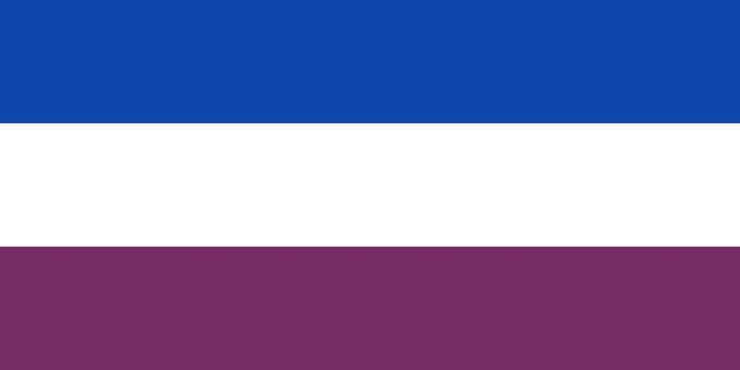 Vlag Montigny-le-Tilleul 100x150cm