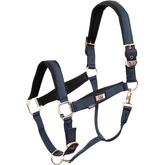 Halster voor paarden BR Equitation Rose Gold