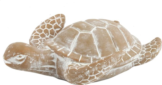 Zeeschildpad Nabil S grey-wash
