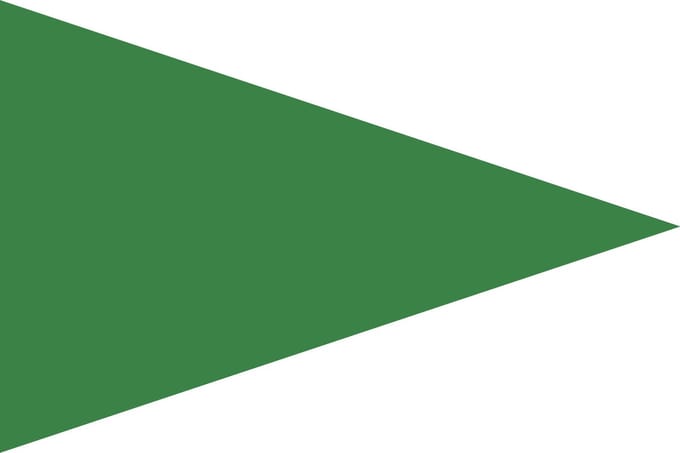 Groene Puntvlag 50x75cm