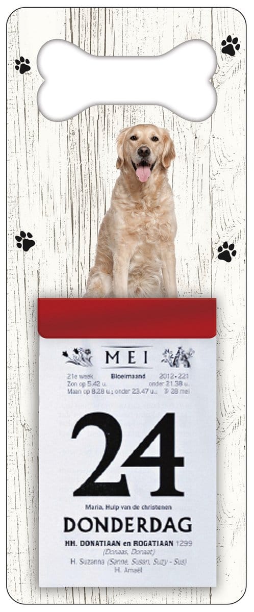 Scheurkalender 2027 Hond: Golden Retriever