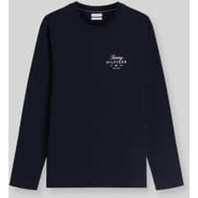 Tommy Hilfiger Script Stack Ls Regular Desert Sky Größe: M | Basic T-Shirts Outlet | Herren