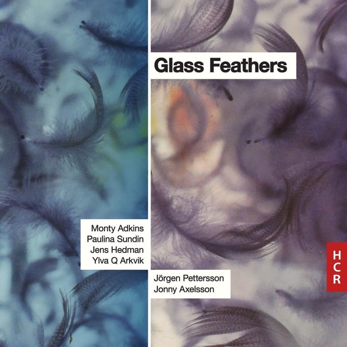 Jörgen Pettersson/Jonny Axelsson: Glass Feathers