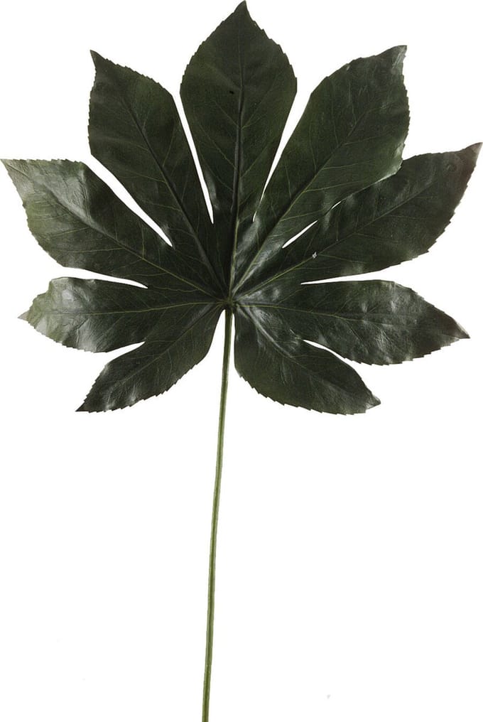 Emerald - Kunsttak Fatsia Blad 55cm - Kunstplant voor binnen