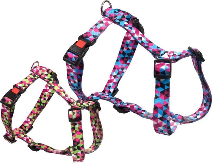 Harness geo blue m 45-70cm 20mm