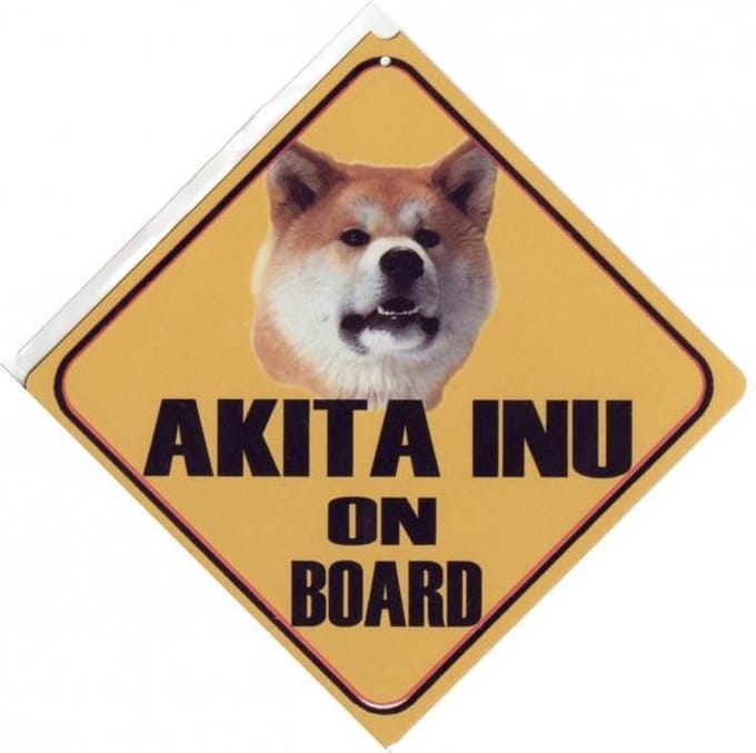 Autobordje Akita Inu