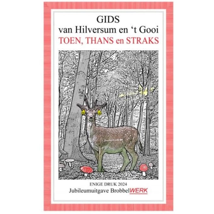 Gids Van Hilversum En 't Gooi - Bob Bonefacius Brobbel