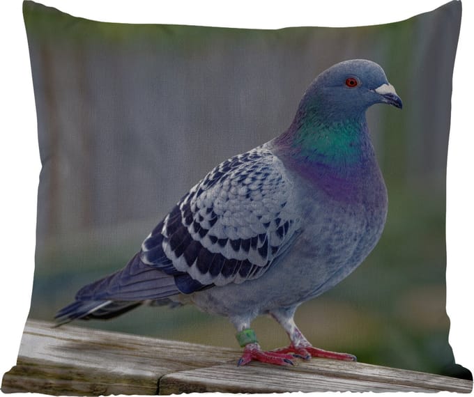 Tuinkussen - Duif - Vogel - Paars - Veren - 40x40 cm - Weerbestendig