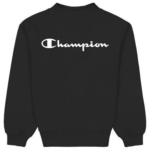 Sweaters Champion Crewneck Sweatshirt