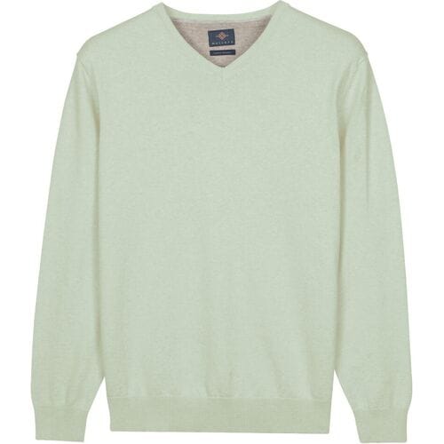 Baileys Trui Solid Color V-Neck Cotton Single Knit Soft Green / male