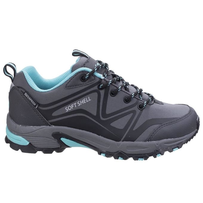 Cotswold Vrouwen/dames Abbeydale Lage Wandelschoenen (Grijs/Zwarte/Aqua)