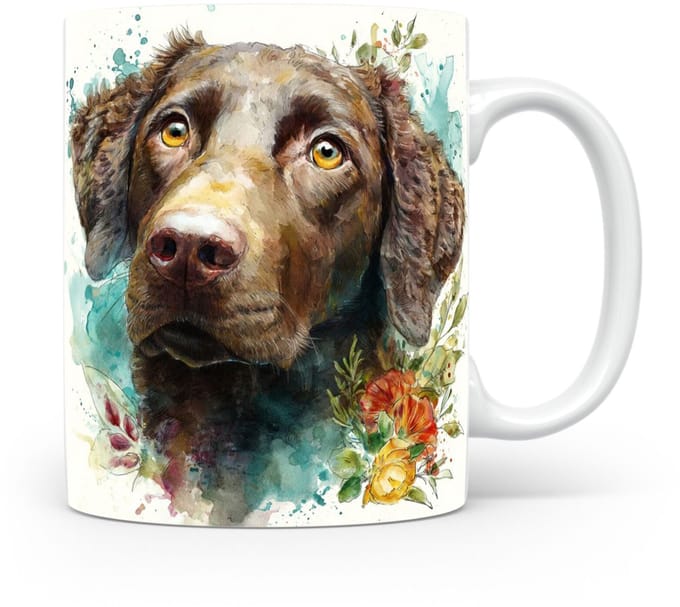 Beker Krulvacht Retriever