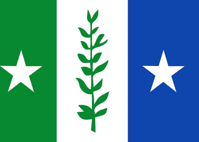 Vlag Zwijndrecht (Be) 100x150cm