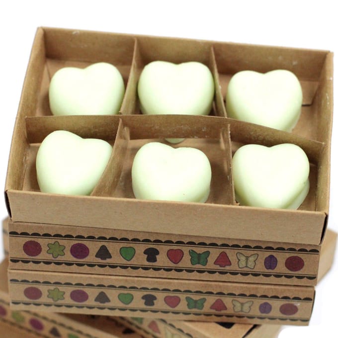 Cadeauset van 6 waxmelts - Watermelon Fresh