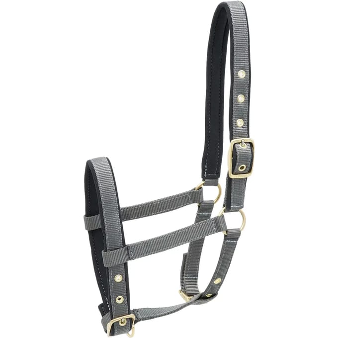 Nylon hoofdstel voor paard Kieffer